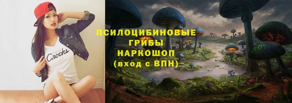 хмурый Усмань