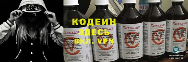 дмт Инсар