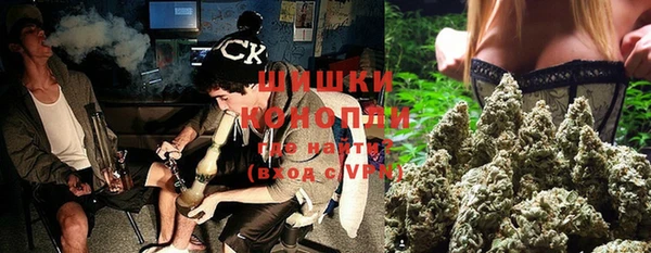 дмт Инсар