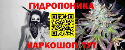 стаф Новокубанск