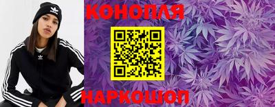стаф Новокубанск