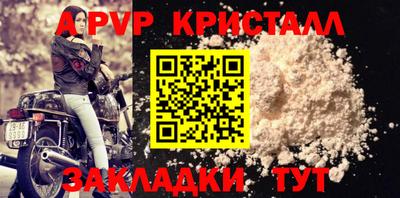 стаф Новокубанск