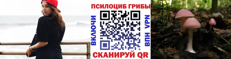 маркетплейс как зайти  Карасук  Псилоцибиновые грибы Psilocybine cubensis 