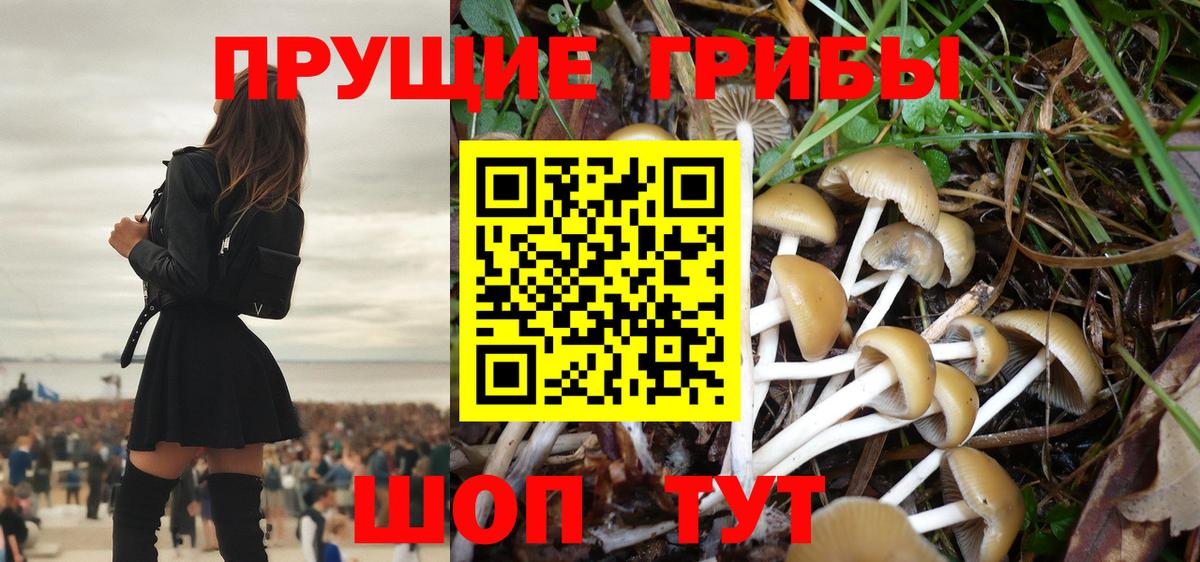 Псилоцибиновые грибы GOLDEN TEACHER Карасук