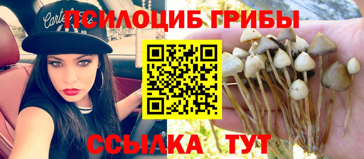 Псилоцибиновые грибы мухоморы  где купить   Вход с VPN  Карасук  Псилоцибиновые грибы GOLDEN TEACHER 